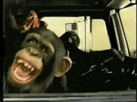 Quand on rit en voiture