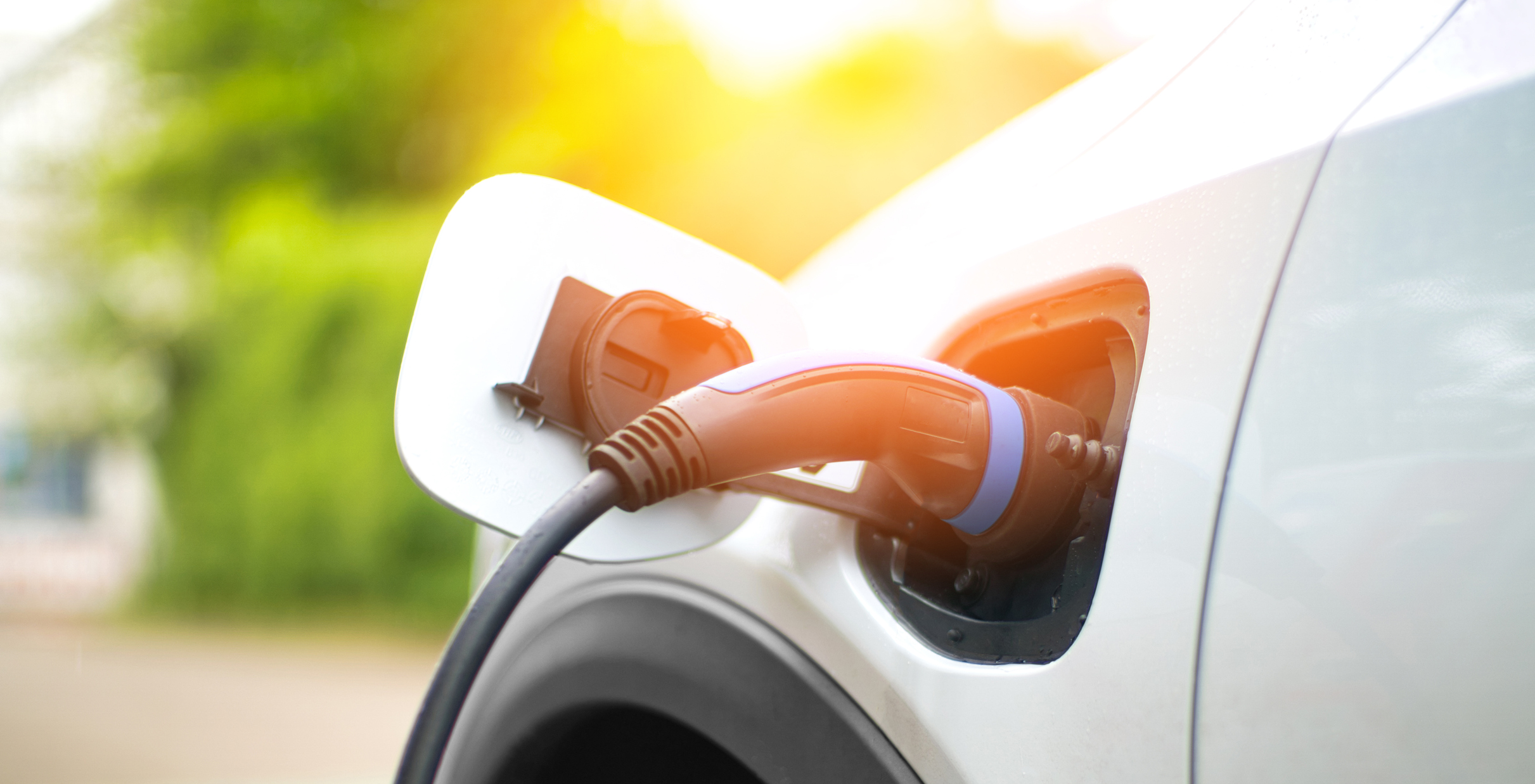 Les voitures électriques et hybrides se vendent de plus en plus